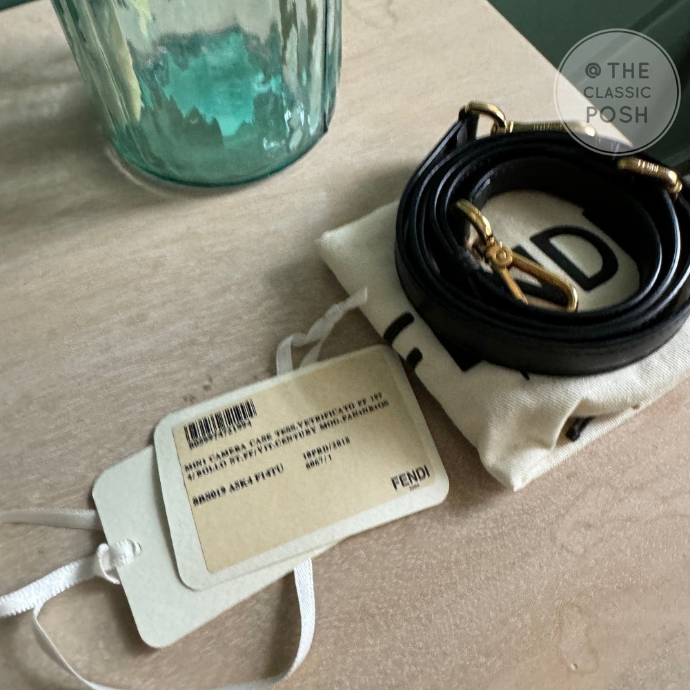 Fendi Glazed Fabric Vitello Century 1974 Stamp Black Camera Case Bag - Picture 11 of 14